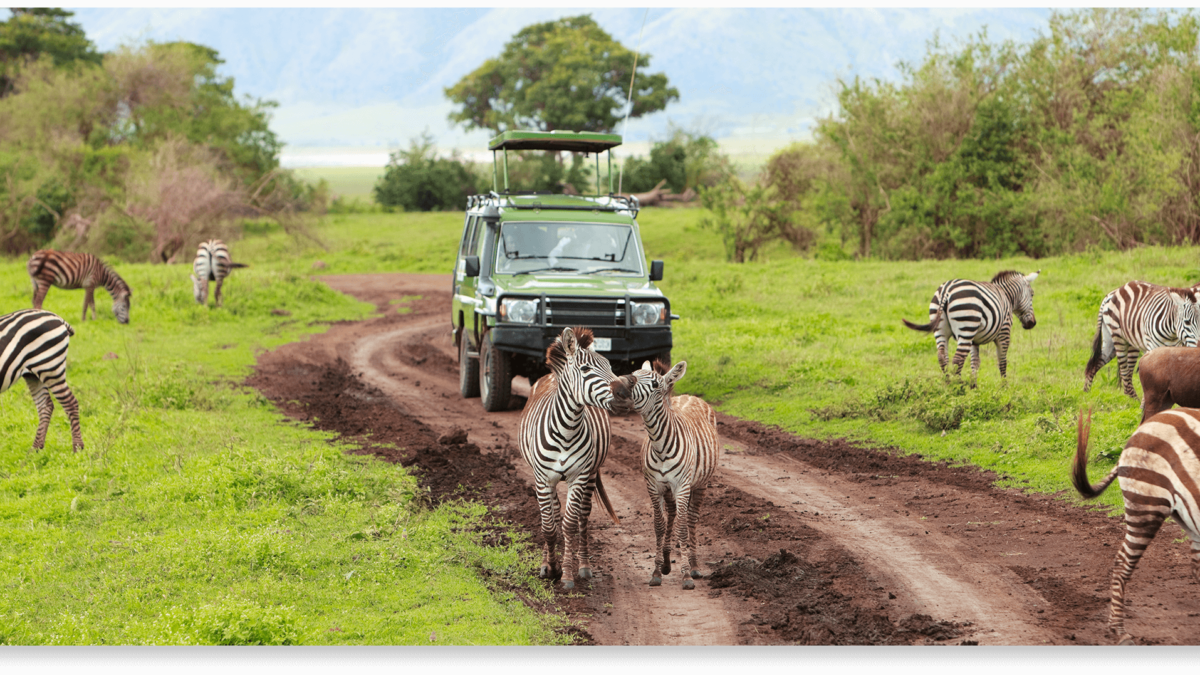 Essential-travel-list-for-an-African-Safari