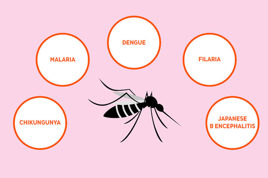 Prevent Mosquito-Borne Diseases with Mosquito Repellents