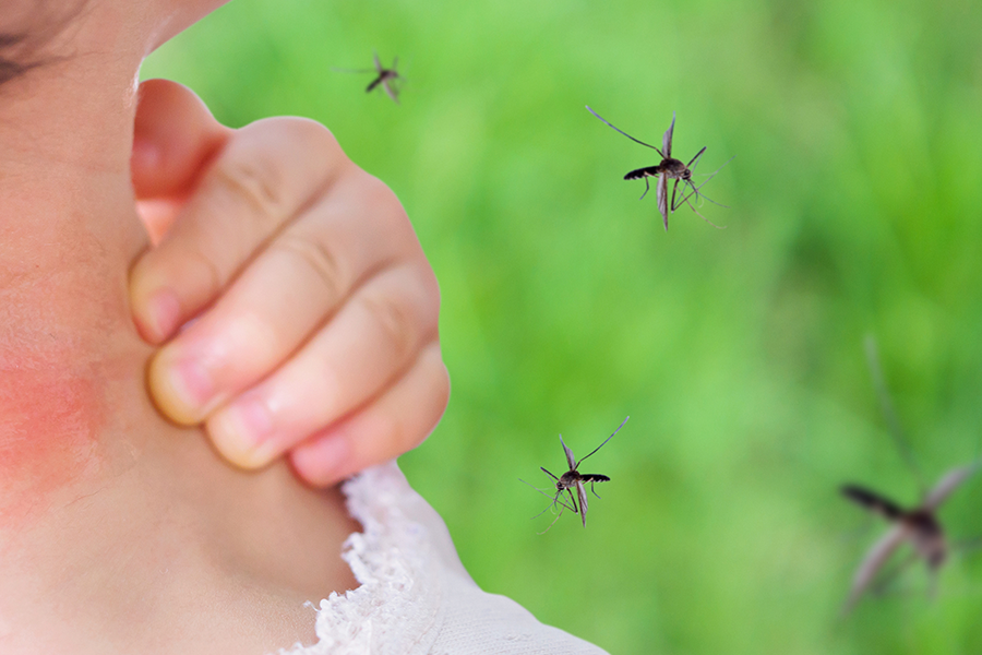 Best Prevention Practices for Mosquito-Borne Diseases - Mozzie skin patch