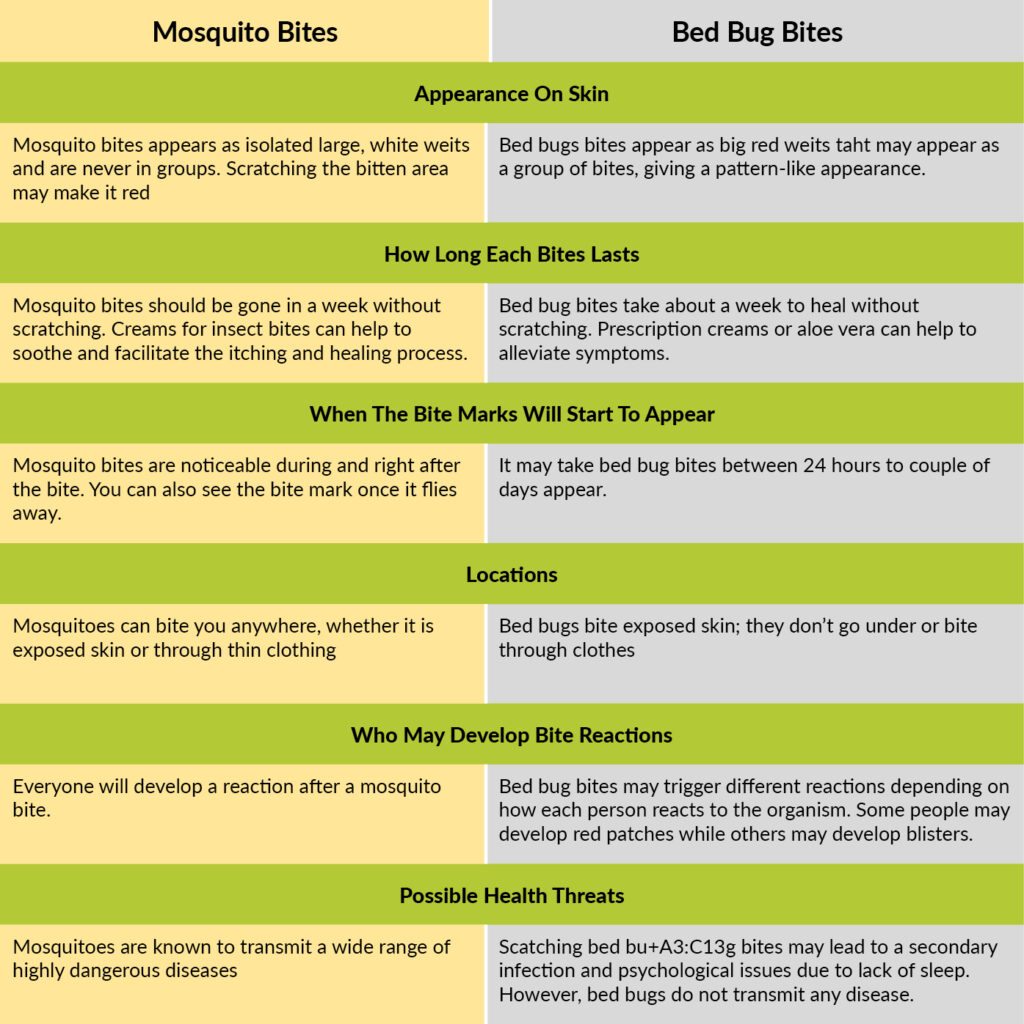 Difference Between Mosquito Bites and Bed Bug Bites